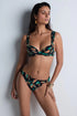 Aubade Feline Energy Moulded push-up bra